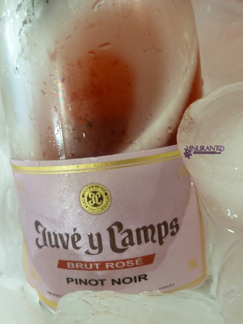 Cava Rosé de Juvé & Camps.